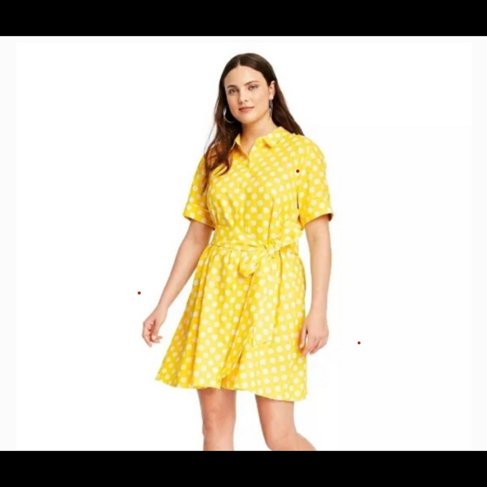 Lisa Marie Fernandez Polka Dot Button Up Dress L